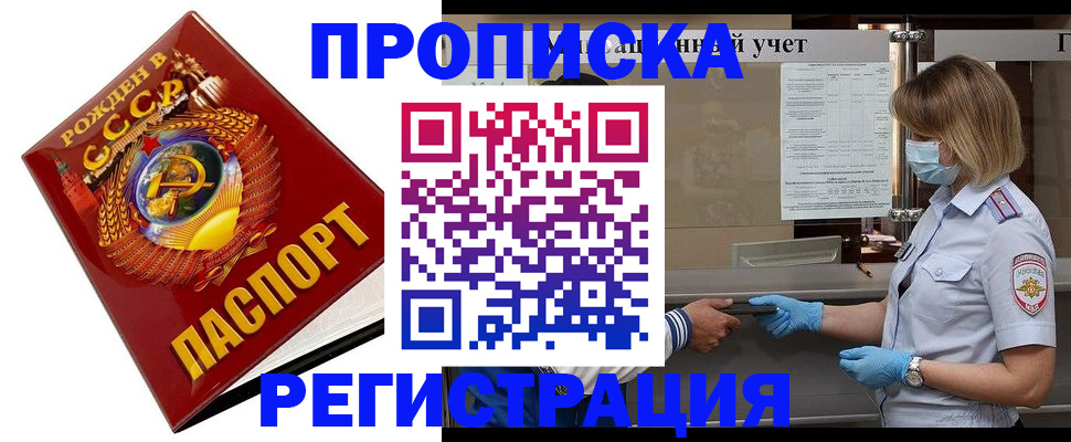 прописка штамп в Лосино-Петровском